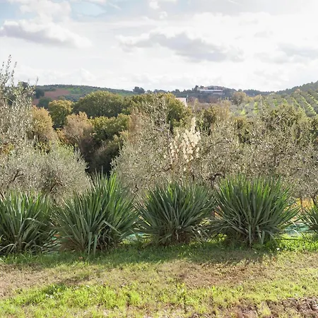Apartment In Umbria Near Vineyards Hébergement de vacances Giano dellʼUmbria